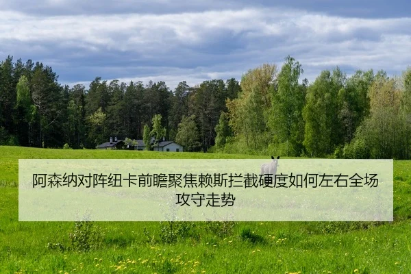 阿森纳对阵纽卡前瞻聚焦赖斯拦截硬度如何左右全场攻守走势